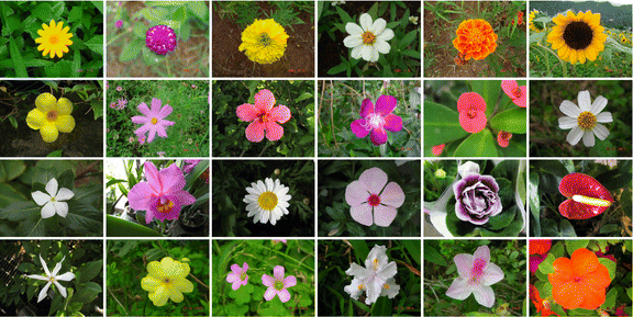 Flower Recognition Model